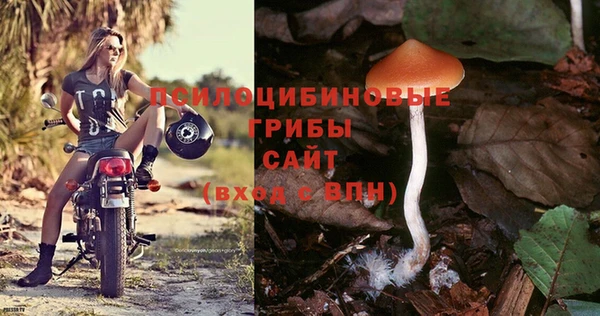 спиды Аркадак