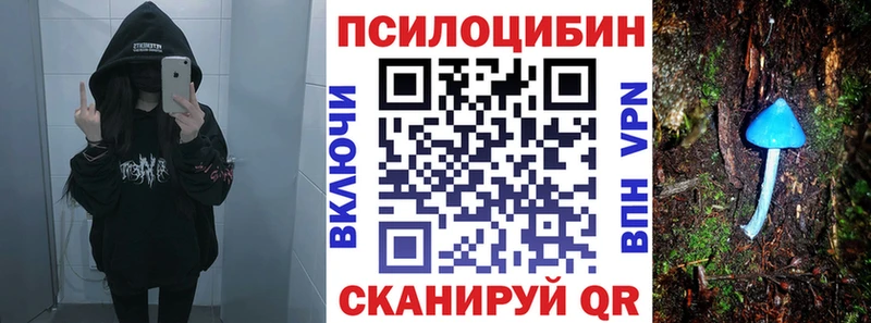 Купить  Тутаев  Галлюциногенные грибы Psilocybe 